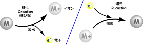 酸化還元の様子