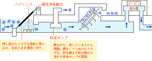 クラゲ流入防止システムのイメージ図