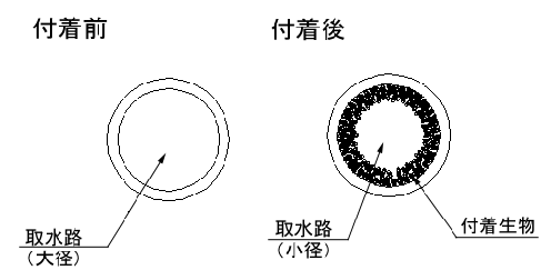 管内付着の様子