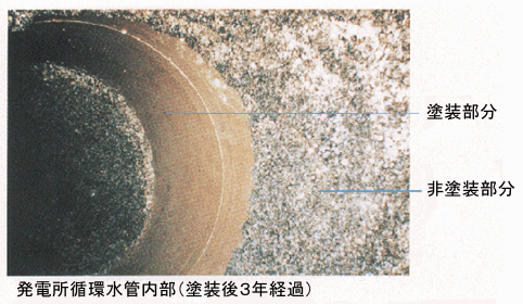 管内付着の3年経過様子