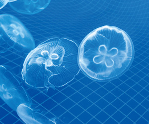 クラゲ対策・浮遊物流入防止の技術画像