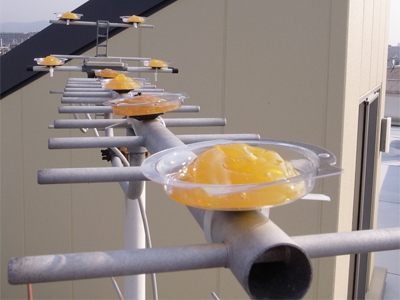 鳥類忌避剤【 バードフリー 】