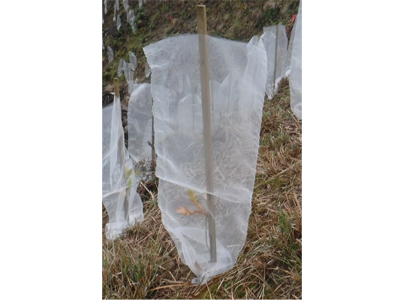 幼木保護ネット「フォレストガード エコ」