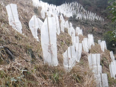 幼木保護ネット「フォレストガード エコ」