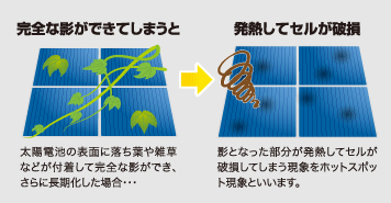 メガソーラー用地の雑草対策