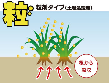 土壌処理型