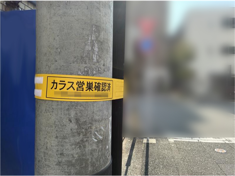 営巣観察柱シート